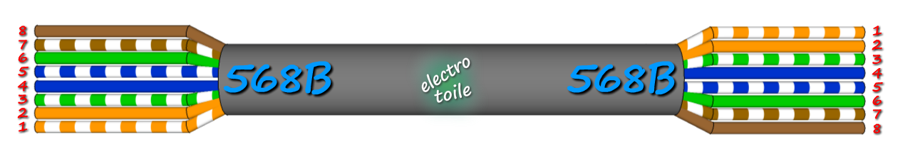 câblage RJ45 droit vue dessous raccordement d'un cordon RJ45 droit vue dessous