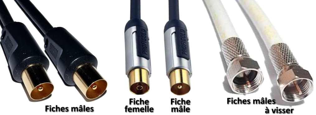 Cliquer pour agrandir Connecteur Télévision coaxial
