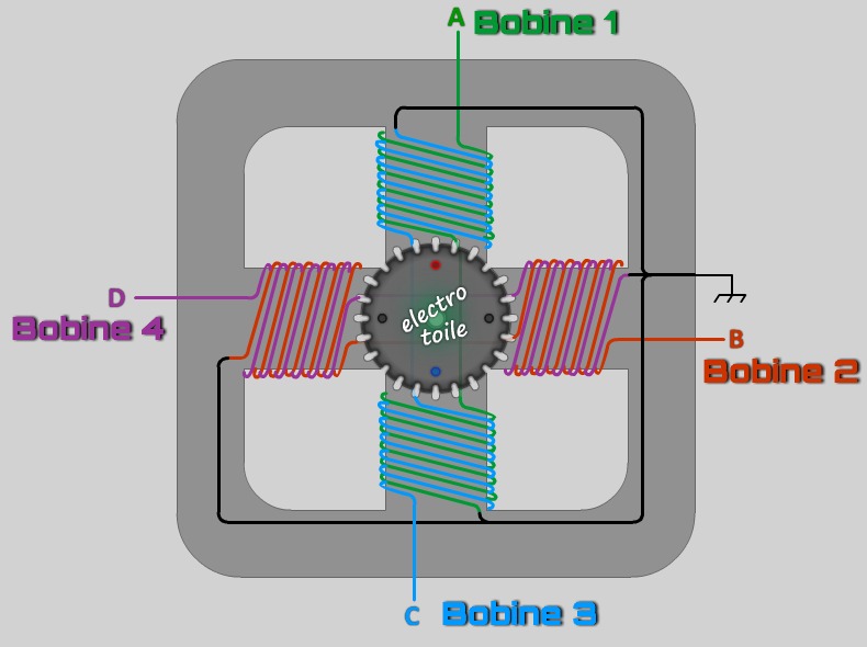 Vue schématisé en coupe d'un moteur pas-à-pas unipolaire