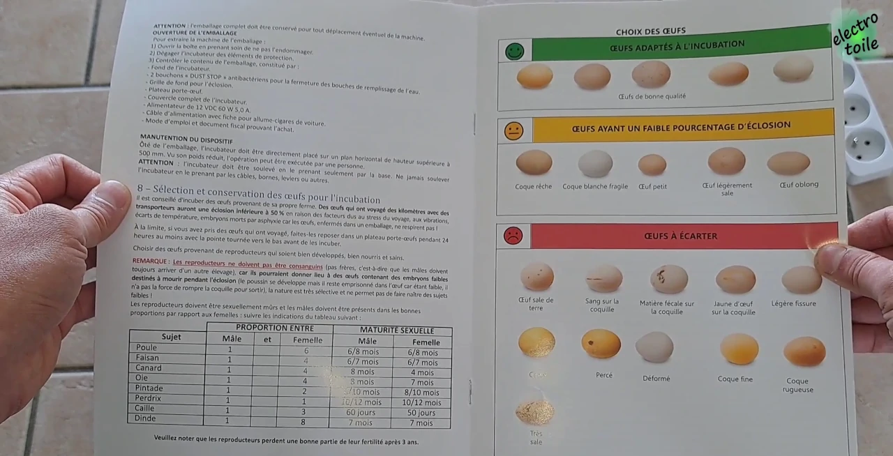 comment choisir les oeufs de poule à utiliser dans la couveuse ?