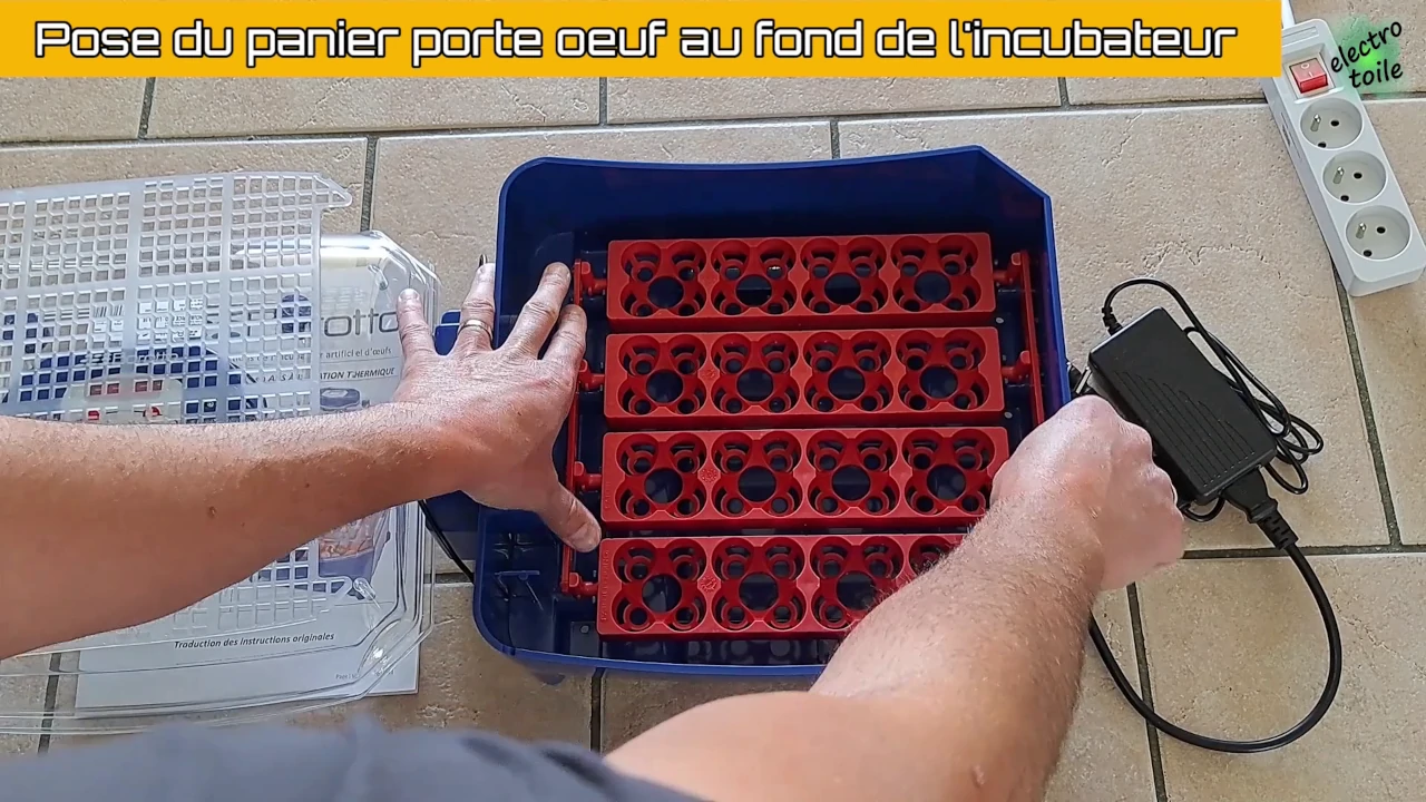 installer le plateau porte oeuf au fond de l'incubateur