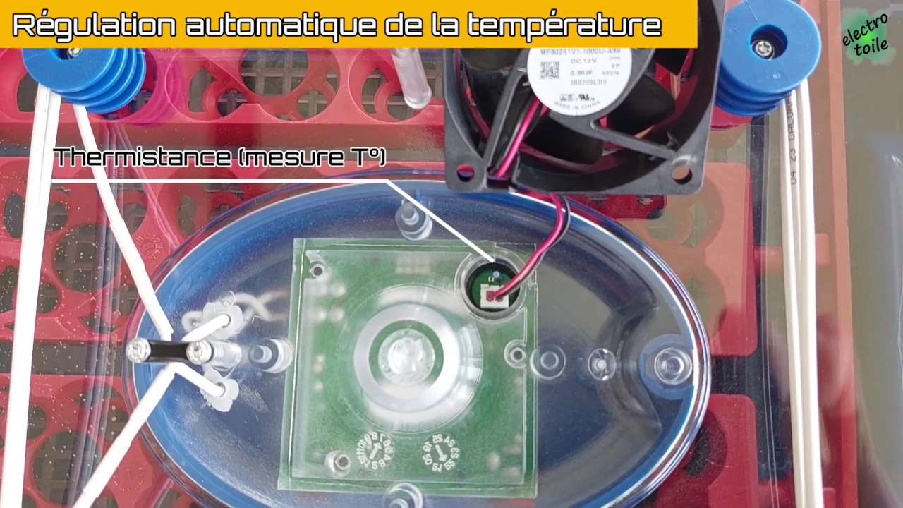 la couveuse intègre une sonde de température pour la mesure de la température ambiante