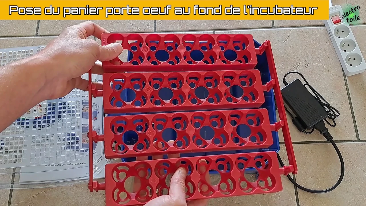 panier porte oeuf de la couveuse automatique lumia 16 borotto