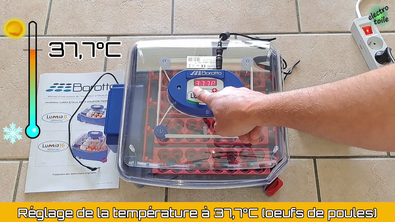 a quelle température régler la couveuse pour l'incubation des oeufs de poule