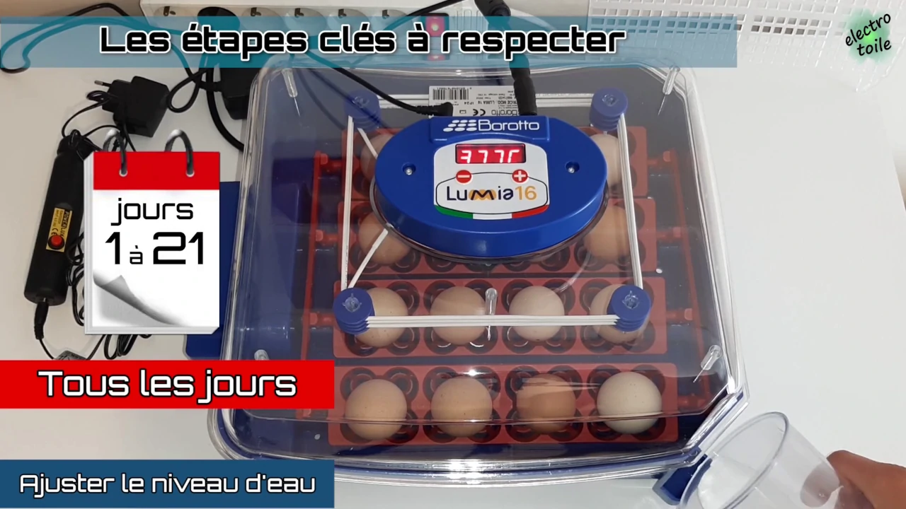 remplir un seul bac d'eau et vérifier le niveau tous les jours