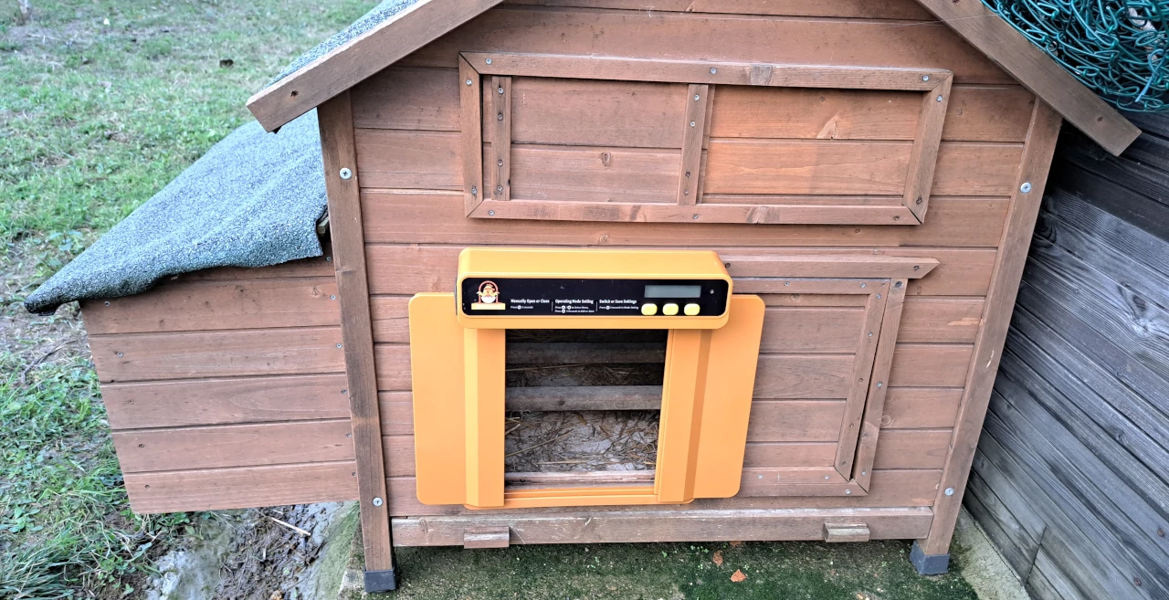 construire une cabane pour protéger les poules