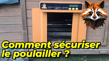 porte automatique pour poulailler chickcozy