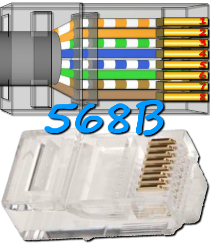 cablage 568B connecteur RJ45 dessous