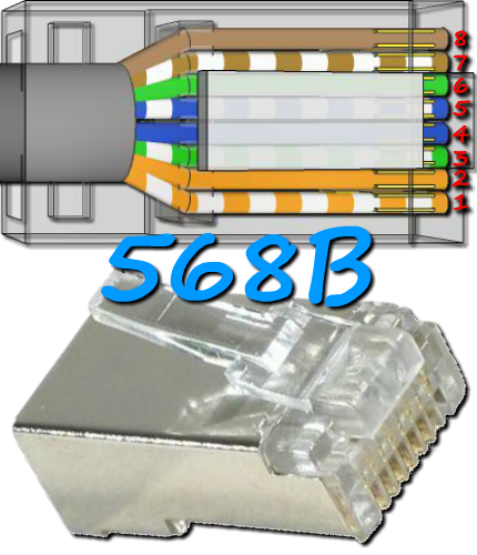 cablage 568B connecteur RJ45 dessus