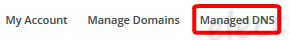 managed DNS No-IP