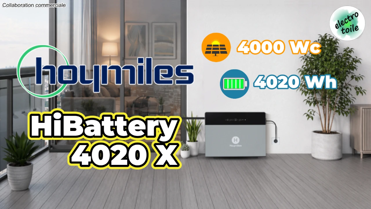hibattery 4020 X Hoymiles