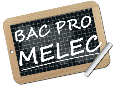 logo TP bac pro MELEC