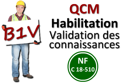 Habilitation B1V