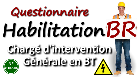 Habilitation BR