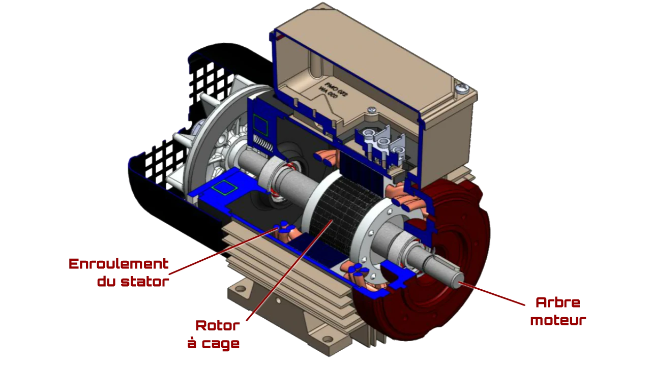le moteur asynchrone ou moteur induit