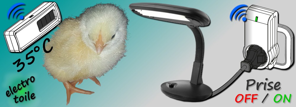 Jeedom pour chauffer le nid de poussin automatisme maintient température nid poussin