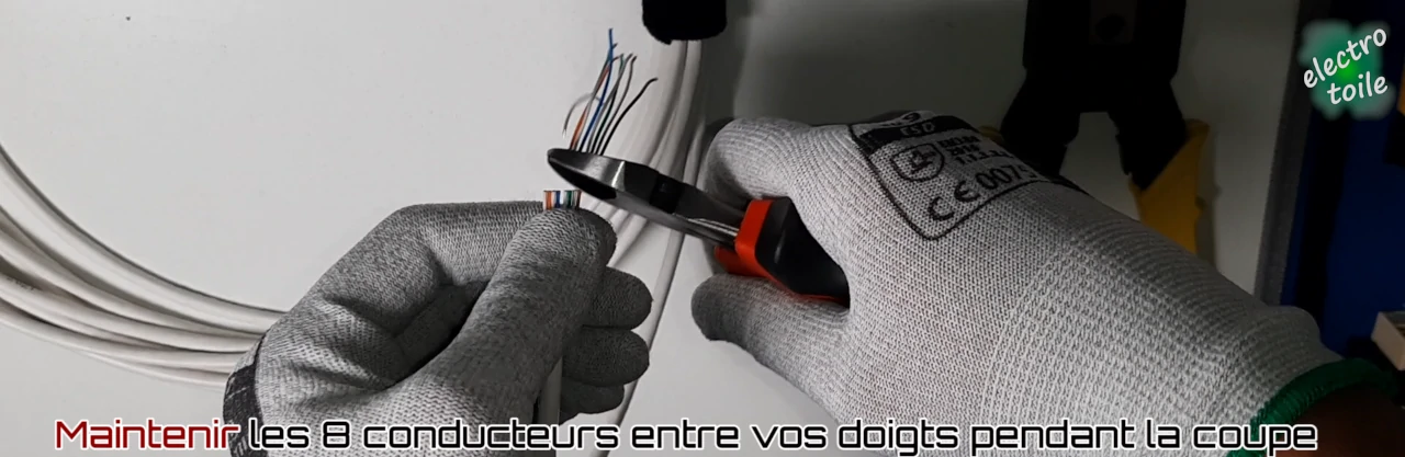 Couper les conducteurs afin de garder seulement 1cm de fils